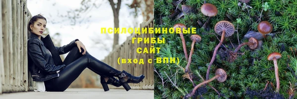 прущая мука Балахна