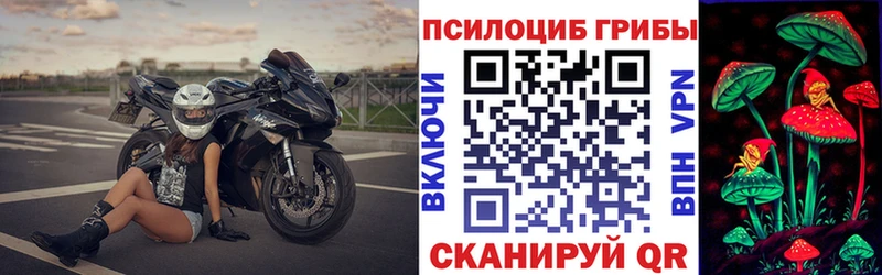 хочу   Белогорск  Галлюциногенные грибы GOLDEN TEACHER 